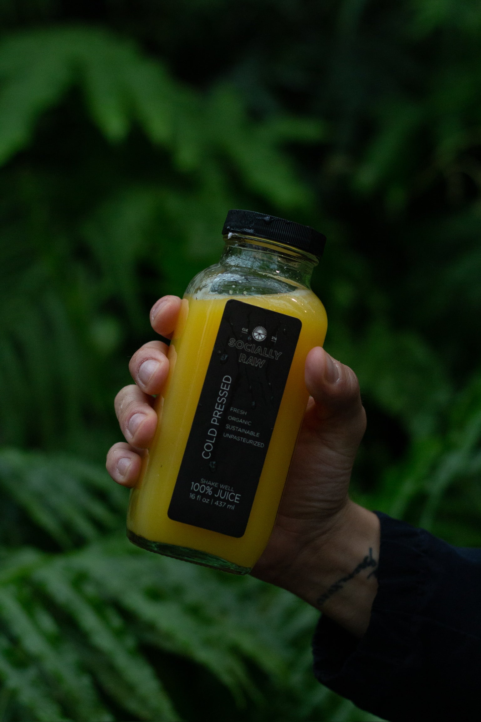 Juice Shop  100% RAW Organic Cold-Pressed Juices Cleanses & Elixirs